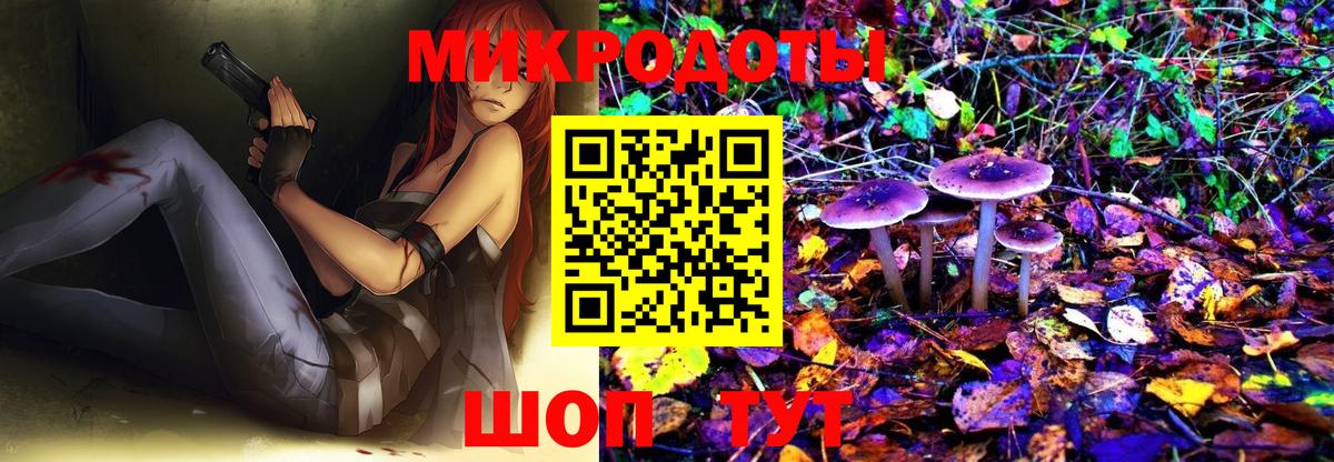 Псилоцибиновые грибы GOLDEN TEACHER Богородск