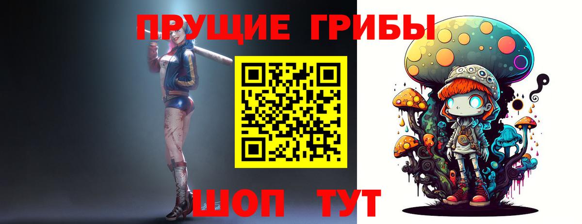 магазин продажи   Псилоцибиновые грибы MAGIC MUSHROOMS  Вход с VPN  Богородск 